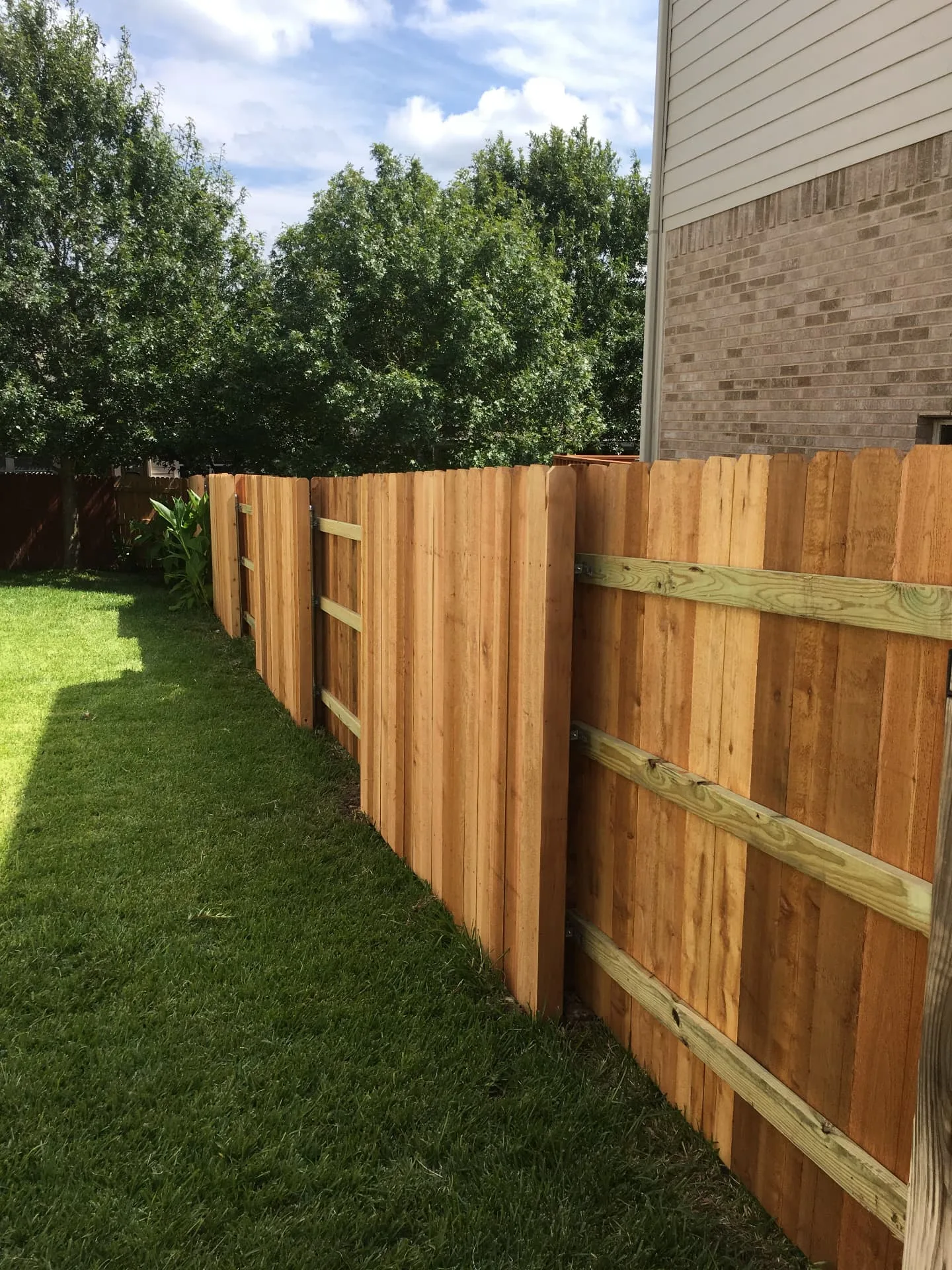 Cedar wood fence with custom gate built by Duke's fence builders in Austin, TX