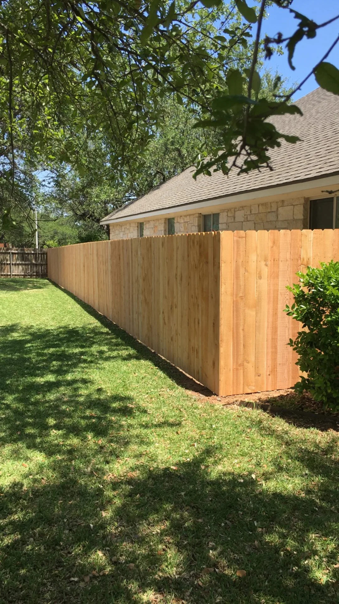 New cedar wood privacy fence built by Duke's around an Austin, TX backyard for residential fence installation